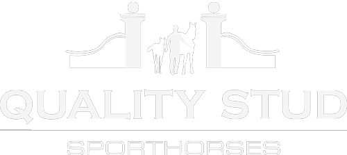 Logo Quality Stud