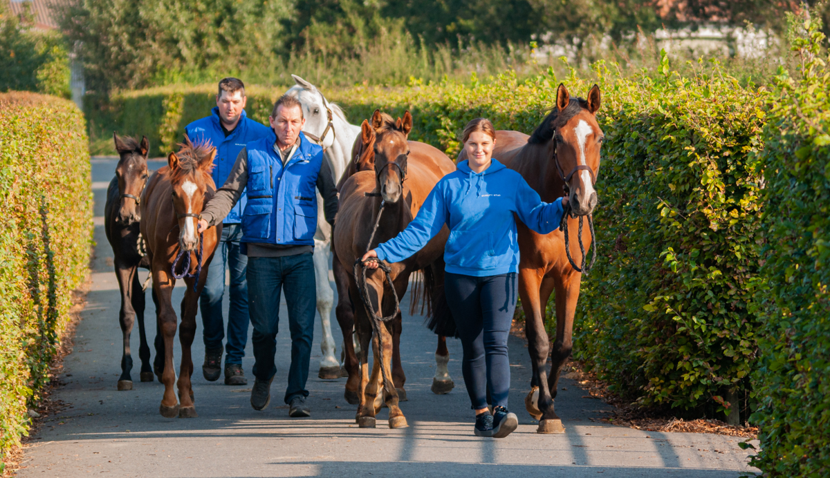 Maak je dromen waar !  Calais 50 km - Ostend Airport 12 km - Brussels 100km