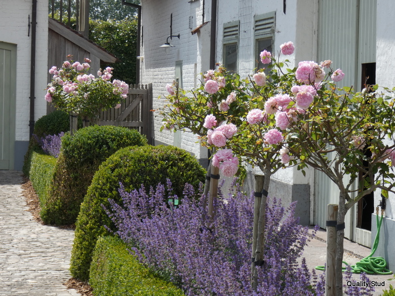 Professionele accomodatie in een idylische omgeving.