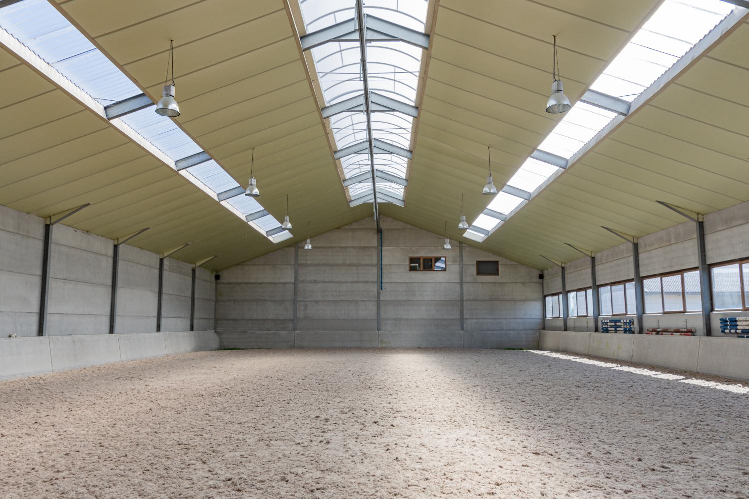 Train je eigen sportpaarden  in Belgie, het land bij uitstek voor de springsport .